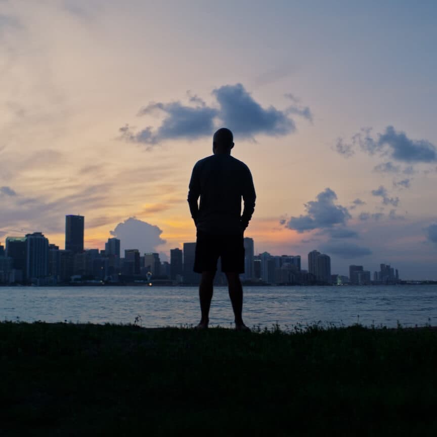 Wild at Heart: The Series