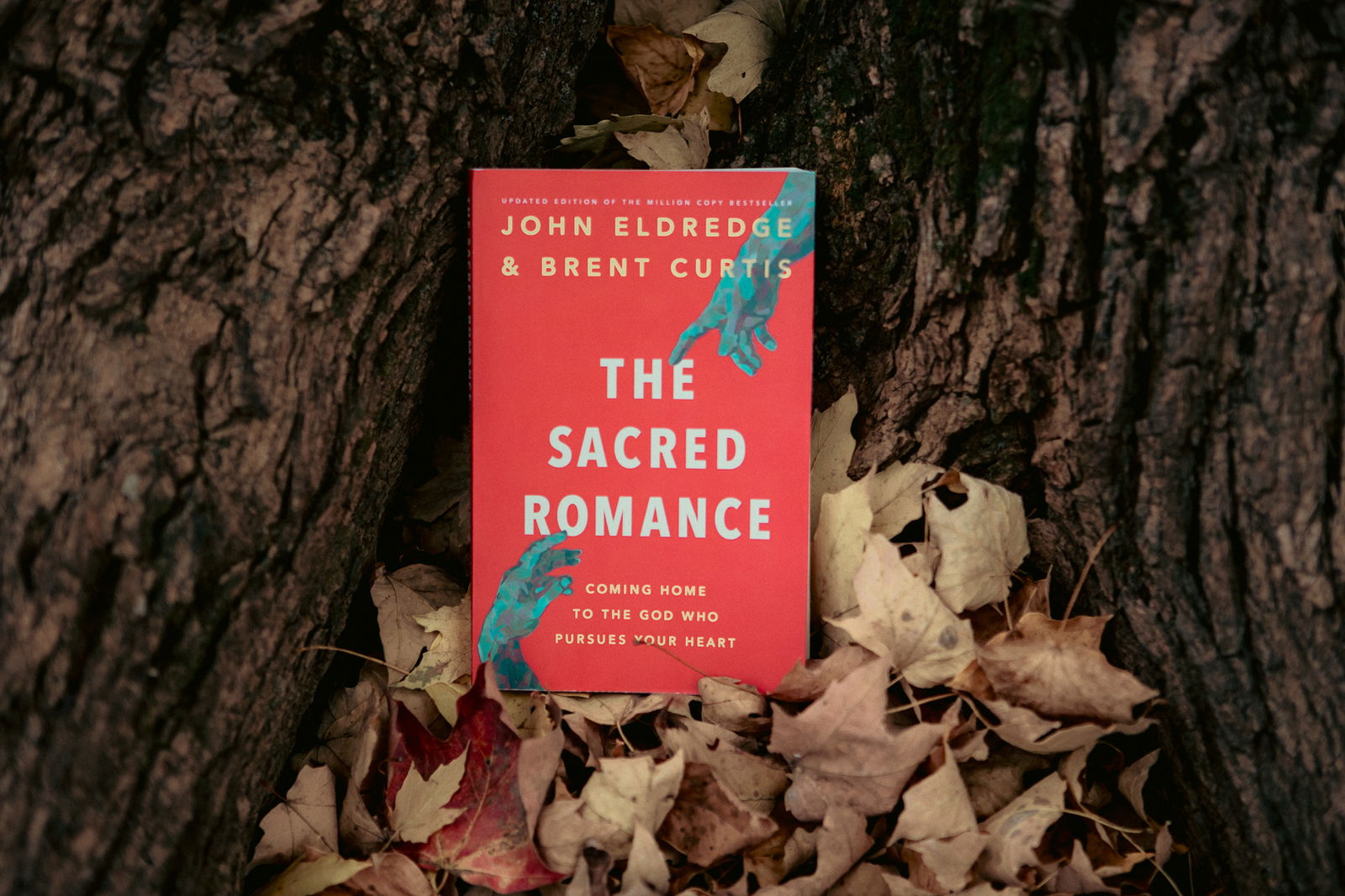 John Eldredge The Sacred Romance Softcover 2024 Edition lifestyle image